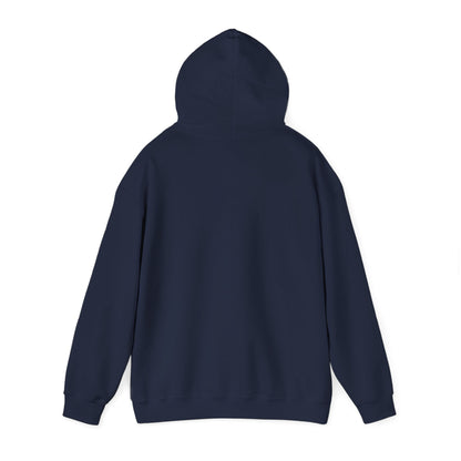 Private Party DJ Hoodie